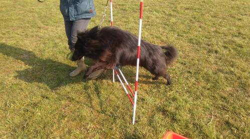 12822969_10209537836503156_488753395_o