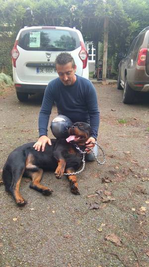 14355742_1676391652676717_4968024877637960516_n