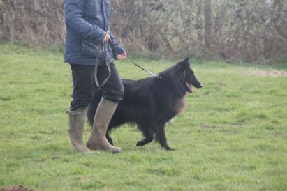 12745785_1567714773544406_7493592051335496315_n