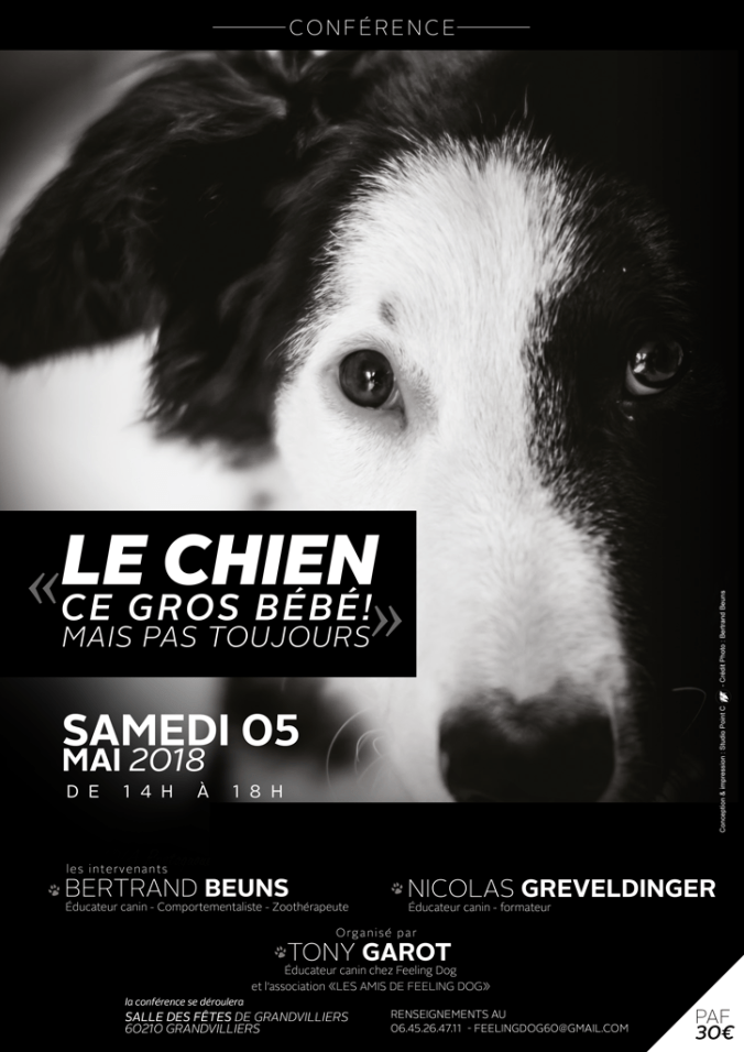 28312673_1045102272294172_360428154_o